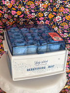 Lady Schick Beautifying Mist Curler Set